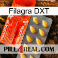 Filagra DXT new01